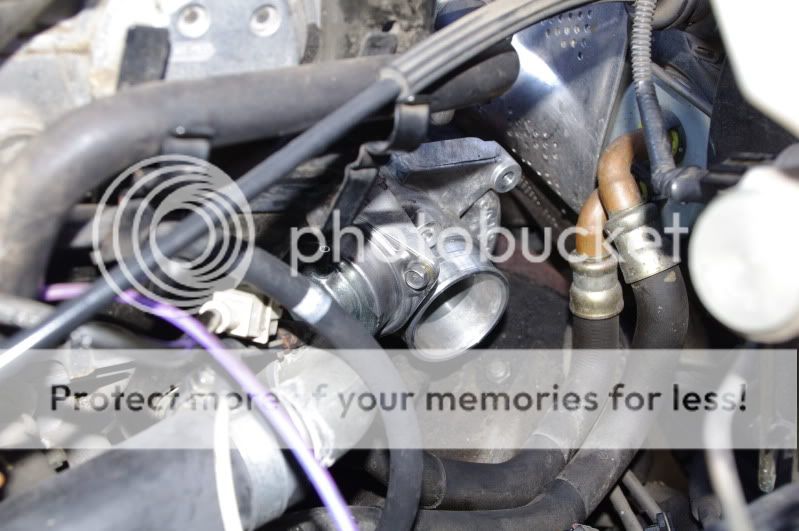 Oil leaking from these hoses